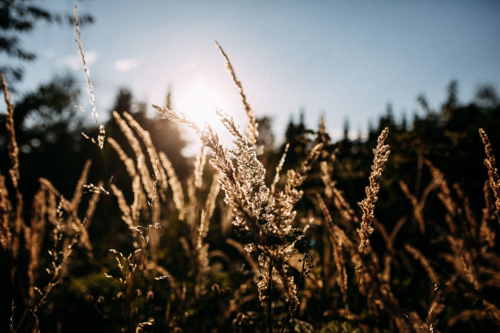 Hypnose Therapie München - Blog Psychotherapie 2